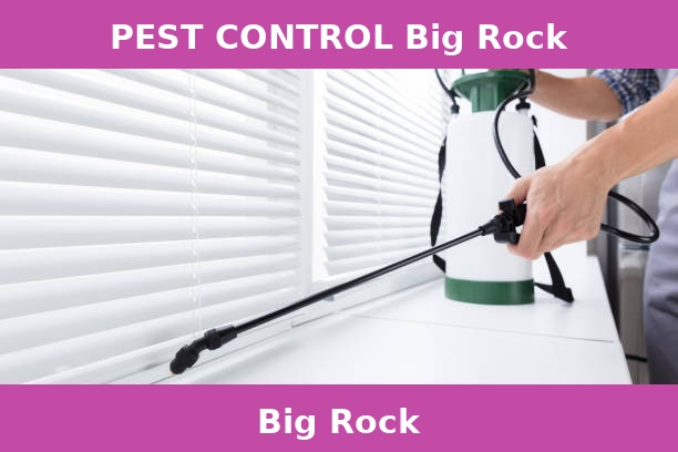 PEST CONTROL Big Rock